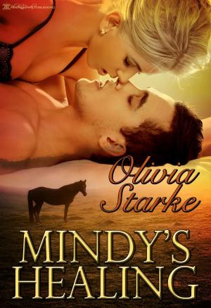 bigCover of the book Mindy's Healing by 