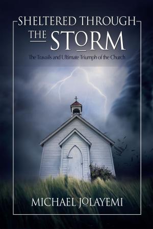Cover of the book Sheltered Through the Storm: The Travails and Ultimate Triumph of the Church by Becky Graham