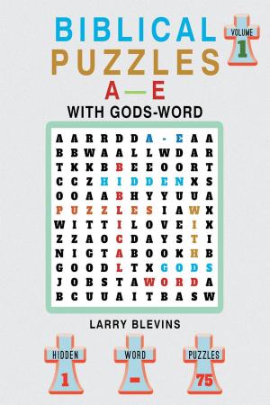 Cover of Biblical Puzzles