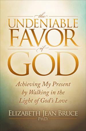 Cover of the book The Undeniable Favor of God by Chrisna Abi