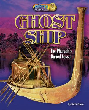 Cover of the book Ghost Ship by Dinah Williams