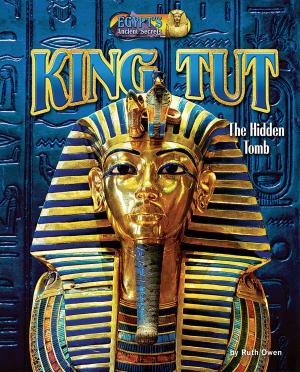 Cover of the book King Tut by Meish Goldish