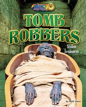 Cover of the book Tomb Robbers by IP Factly