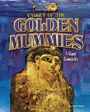 Cover of the book Valley of the Golden Mummies by Ellen Lawrence