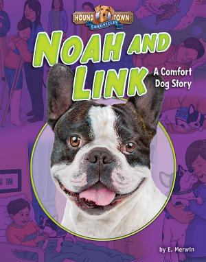 Cover of the book Noah and Link by Ellen Lawrence