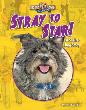 Book cover of Stray to Star!