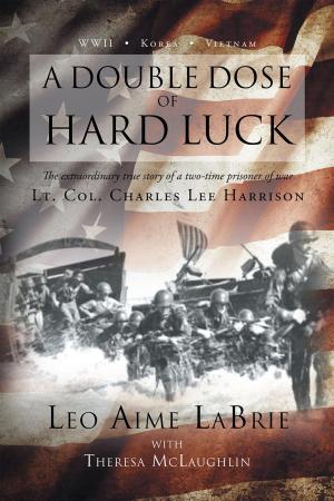 Cover of the book A Double Dose of Hard Luck by Jill Runfola