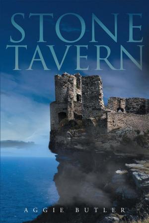 Cover of the book Stone Tavern by Jack  Overbey