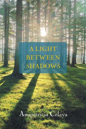 Cover of the book A Light between Shadows by Kate Lindman