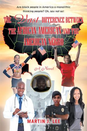 bigCover of the book The Vast Difference between the African American and the American Negro by 