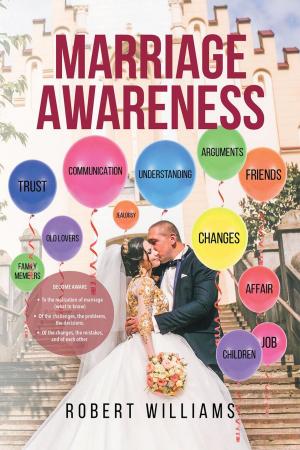 bigCover of the book Marriage Awareness by 