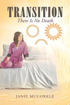 bigCover of the book Transition - There Is No Death by 