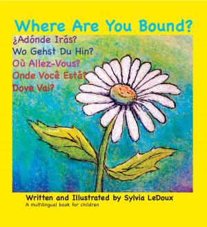 Cover of the book Where Are You Bound? by Bertrand Kolle