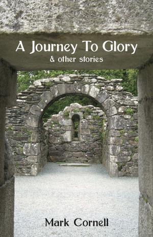 Cover of the book A Journey To Glory by Janis Spehr