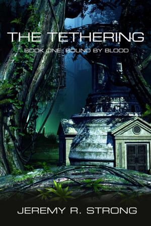 bigCover of the book The Tethering by 