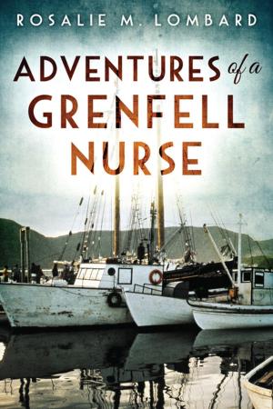 bigCover of the book Adventures of a Grenfell Nurse by 