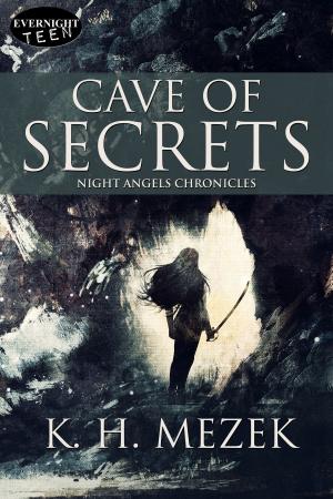 Cover of the book Cave of Secrets by B. R. Holt