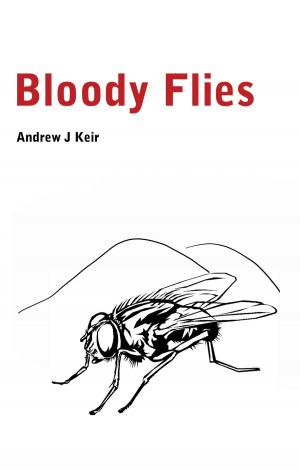 Cover of the book Bloody Flies by Robert Hamblett