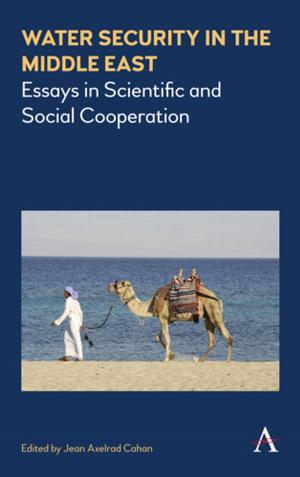 Cover of the book Water Security in the Middle East by Jason D. Ensor