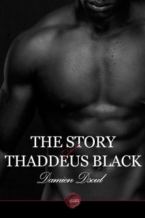 Cover of the book The Story of Thaddeus Black by Anthony Ford