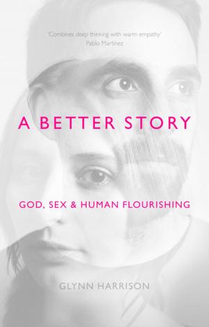 Cover of the book A Better Story by Roberta De Fabianis