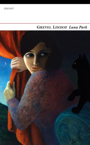 Cover of the book Luna Park by Sujata Bhatt