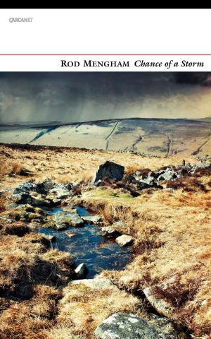 Cover of the book Chance of a Storm by Gillian Clarke