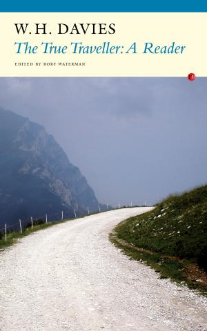 Cover of the book True Traveller by Jody Allen Randolph