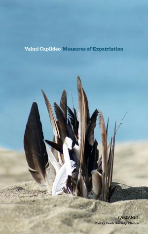 bigCover of the book Measures of Expatriation by 