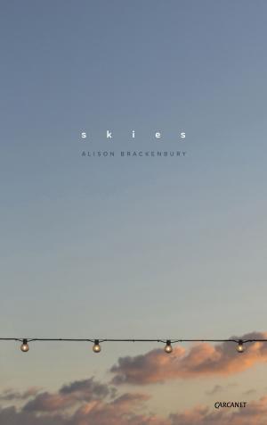 Book cover of Skies