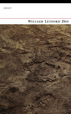 Cover of the book Dirt by Mervyn Peake