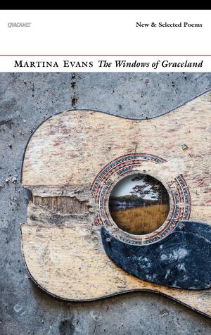 Cover of the book Windows of Graceland by Frederic Raphael