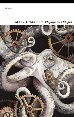 Cover of the book Playing the Octopus by Wild Rose Cherry