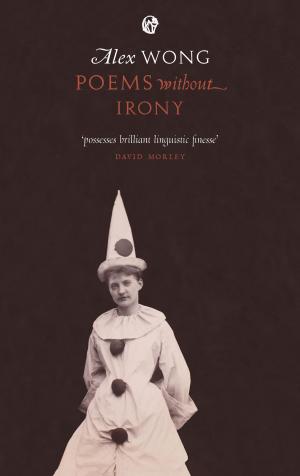 Cover of the book Poems Without Irony by Tara Bergin