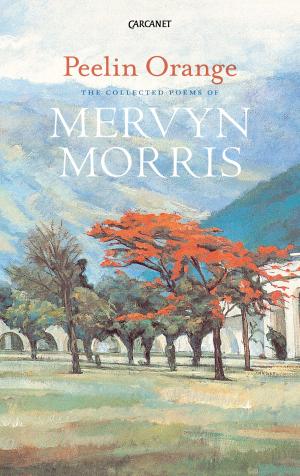 Cover of the book Peelin Orange by David Morley