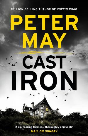 bigCover of the book Cast Iron by 