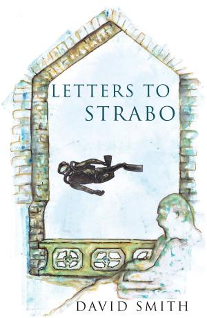 Cover of the book Letters to Strabo by Lisanne Valente