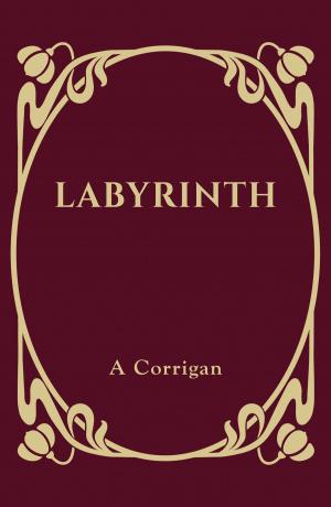 Cover of the book Labyrinth by John Pedler