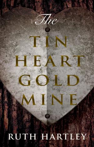 Cover of the book The Tin Heart Gold Mine by John Coppack