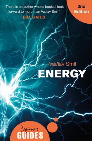 Cover of the book Energy by Jok Madut Jok