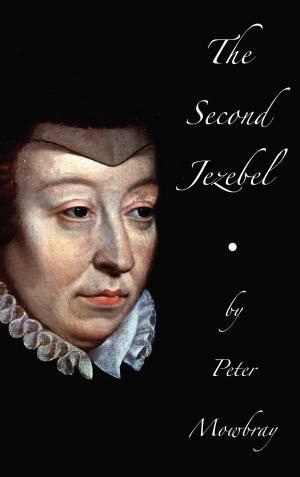 Cover of the book The Second Jezebel by Barbara Furguson