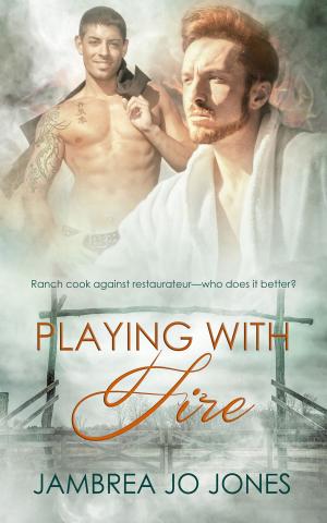 Cover of the book Playing with Fire by Donna Gallagher