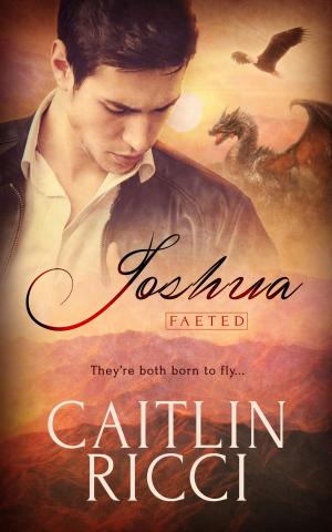 Cover of the book Joshua by Catherine Curzon, Eleanor Harkstead