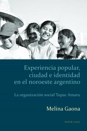 Cover of the book Experiencia popular, ciudad e identidad en el noroeste argentino by Sebnem Susam-Saraeva