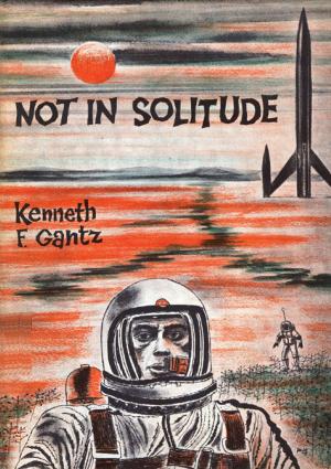 Cover of the book Not in Solitude [Revised Edition] by Phoebe Marie Holmes