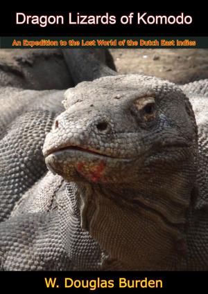 bigCover of the book Dragon Lizards of Komodo by 