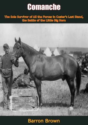 Cover of the book Comanche by Edmund B. D’Auvergne