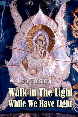 Cover of the book Walk in The Light While We Have Light by James Barrat