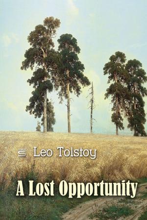 Cover of the book A Lost Opportunity by Linda Arditto