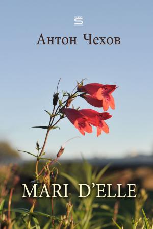 Cover of the book Mari D'elle by Bram Stoker